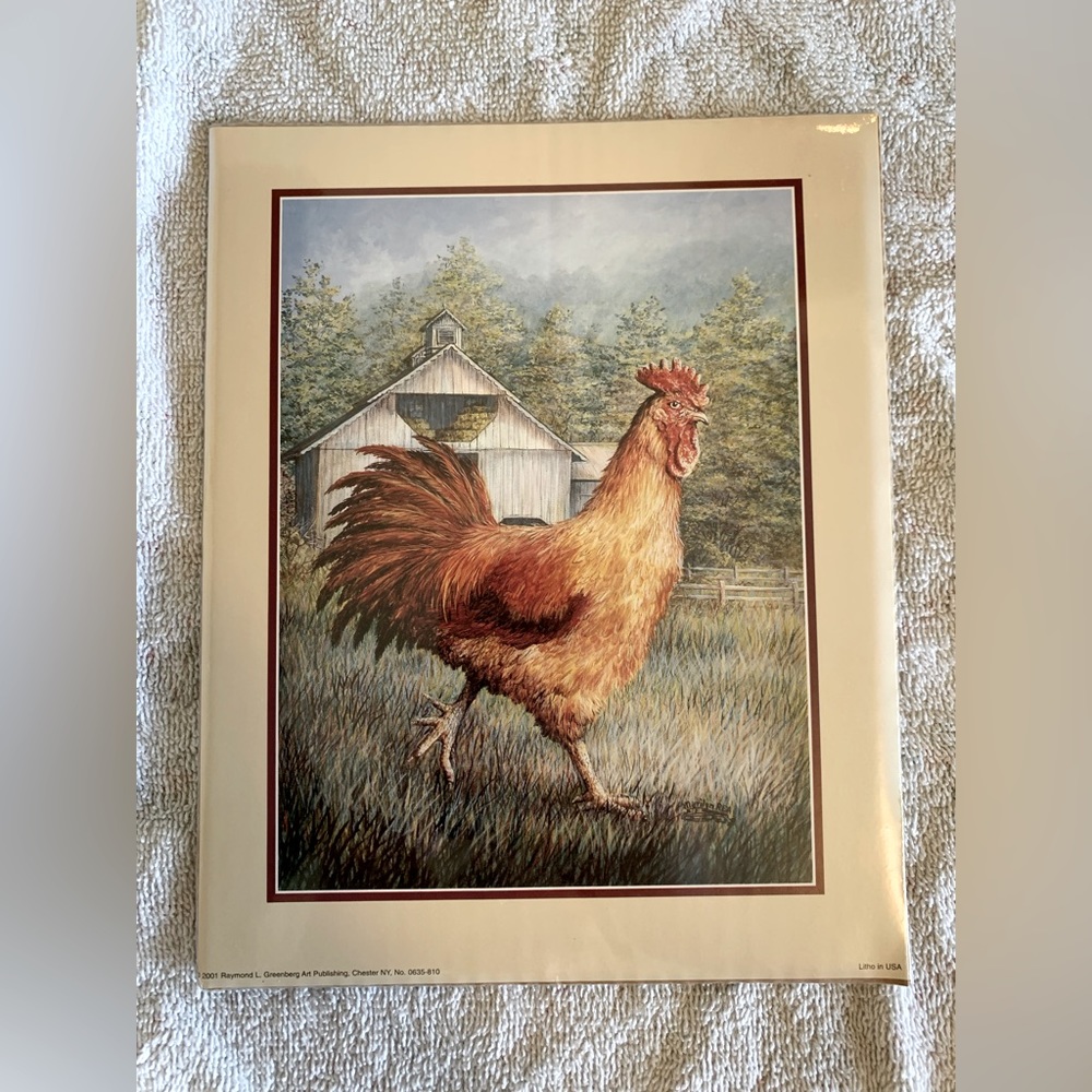 Rooster & Hen Pictures